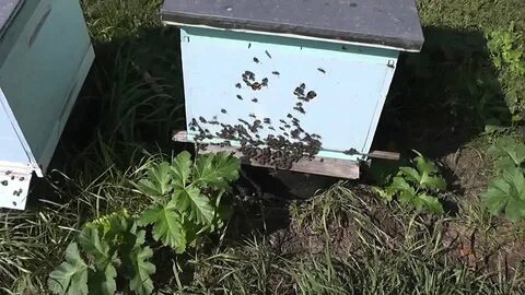 Сушка рамок