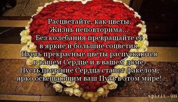 Расцветайте как цветы жизнь. Расцветайте как цветы жизнь. Девушка нежность. Нежные весенние цветы. Прекрасные мгновения жизни.