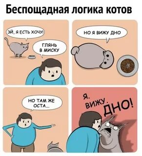 Кот сутки не писал