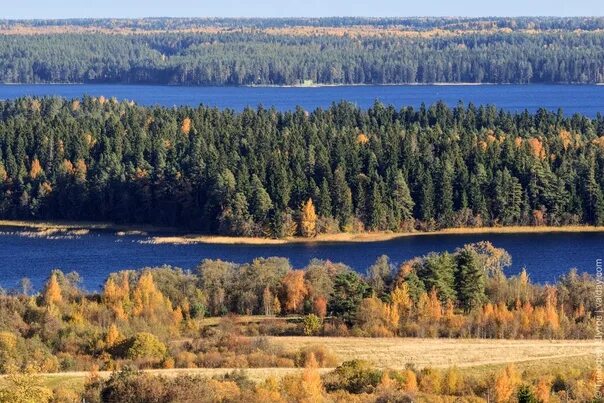 Валдай возвышенность. Валдайская возвышенность озеро селигер. Валдайская возвышенность валдай. Природа валдайской возвышенности. Валдайская возвышенность тектоническая структура.