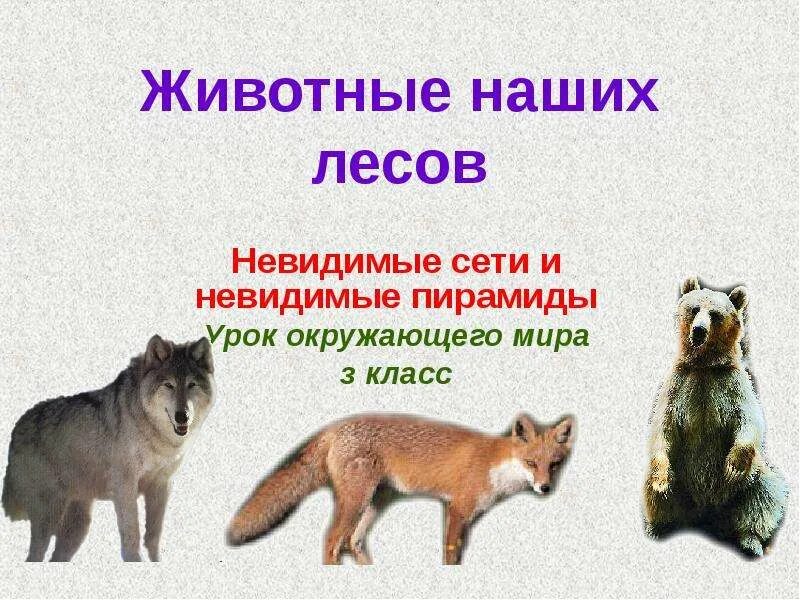 Животные и наша безопасность 3 класс проект Природа и наша безопасность плешаков