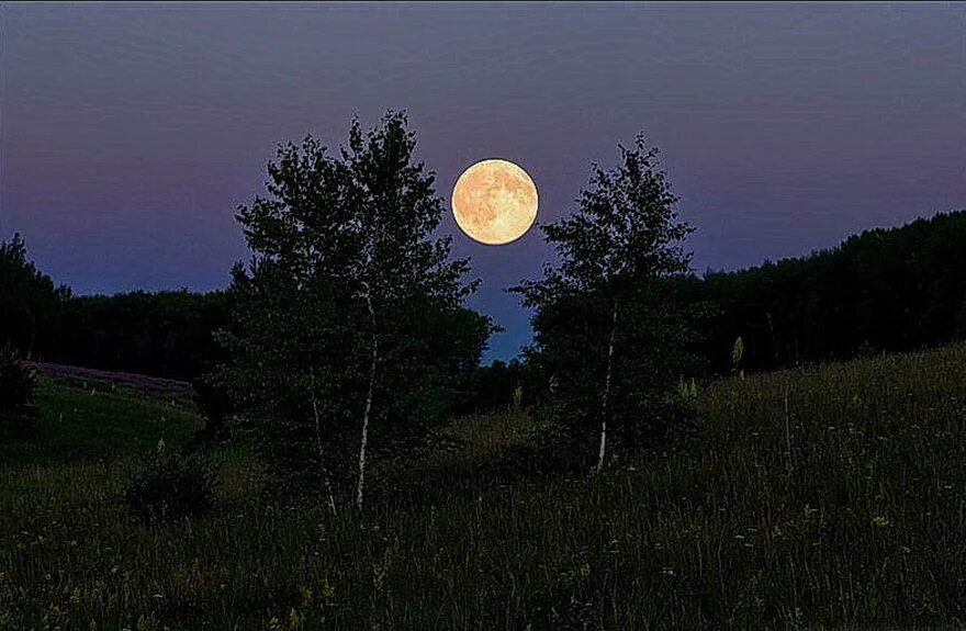 Как светила луна песня. Луна в лесу. Ночное поле в деревне. Вечер Луна в деревне. Лунный вечер.