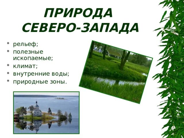 Природа Северо Запада России. Северо Запад России презентация. Особенности природы европейского Северо Запада. Северо Запад природа презентация 9 класс. Природные особенности северо запада