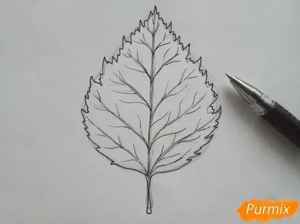 Нарисовать лист розы