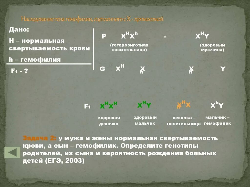 Генотип мужчины страдающего гемофилией. Группы крови задачи по генетике. Задачи на группы крови с х хромосомой. Определить генотип родителей. Задачи с х хромосомой.