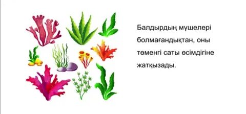 Елена Никулинаның порно фильмдері