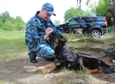 Сколько лет кинологической службе в 2024