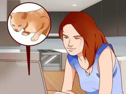 Как называется страх кошек
