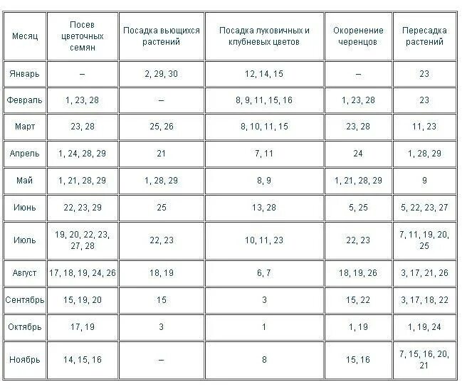 Хорошие дни для пересадки цветов в марте. Лунный календарь цветовода. Лунный календарь для посадки цветов. Лунный календарь для комнатных растений. Лунный календарь для посадки цветов комнатных.