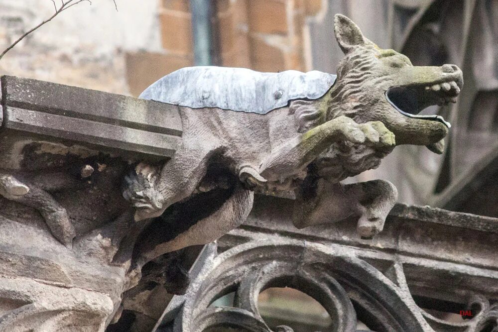 Кафедральный собор фрайбурга гаргульи. Руны ведьмак 2. Ульмский собор горгульи. Где найти горгулий. Ульмский собор горгульи.