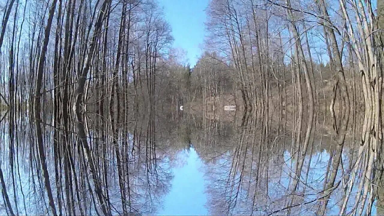 Почему зеркальное отражение видео. Зеркальное отражение. зеркальное изображение. зеркальное изображение фото. 22 в зеркальном отражении.