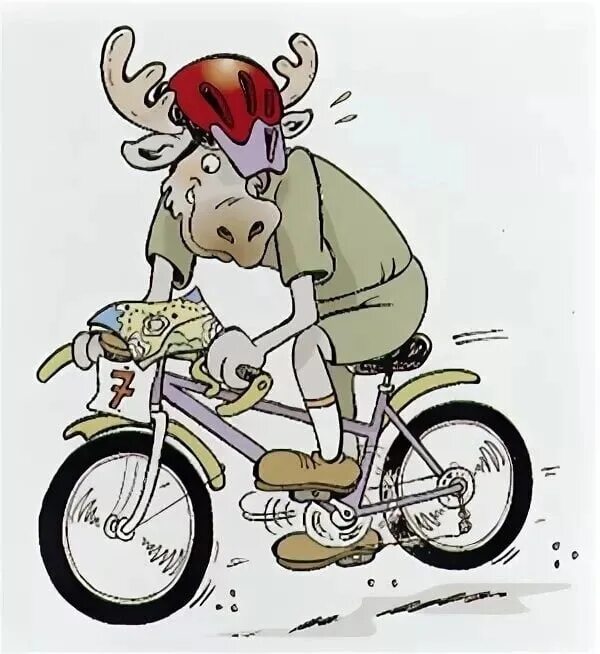 Вело лось. Велосипедист карикатура. Лось на велосипеде. Шарж на велосипеде. Смешные рисунки с велосипедом.