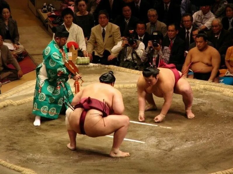 2 sumo