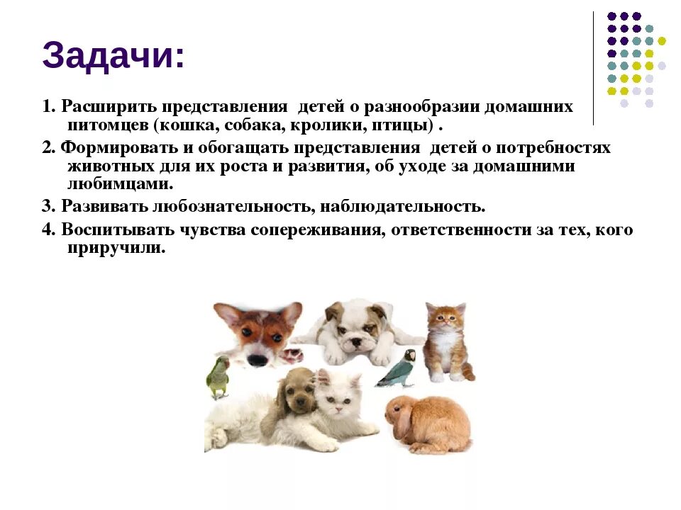 Цель про животных. Задачи проекта домашние животные. Проект домашнее животное. Цель проекта о домашних животных. План проекта о домашних животных.