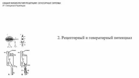 Генераторный потенциал это