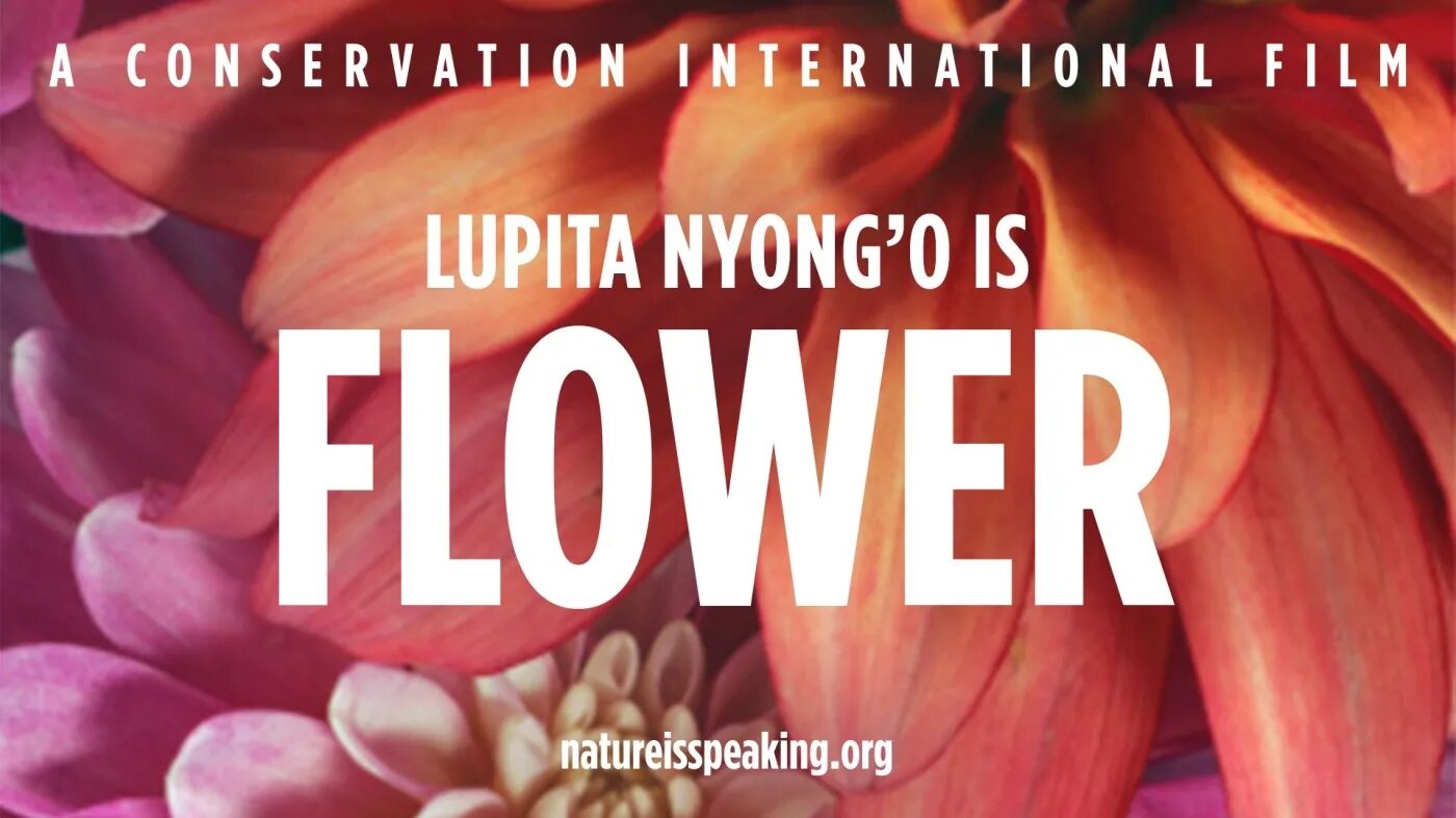 Nature is speaking. A conservation international film. nature speaking flower. a conservation international film субтитры.