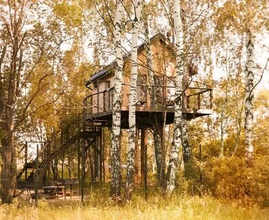 Отель лапочкино гнездо