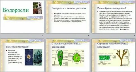 Тест общая характеристика водорослей 7 класс ответы