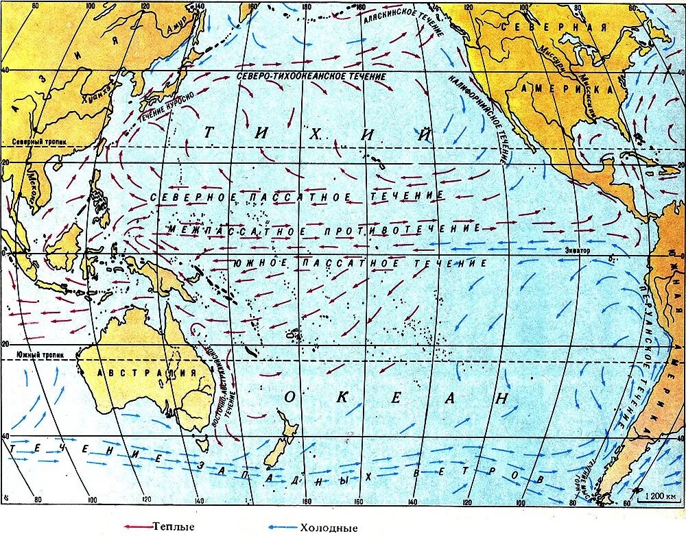Северно тихоокеанское течение. Карта течений Тихого океана. Тихий океан на карте. Карта океанских течений в тихом океане.