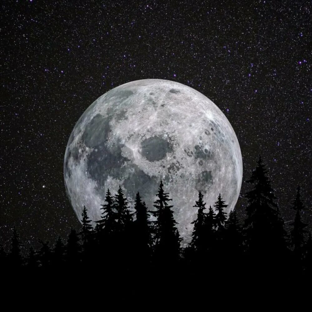 Картина темная луна. Луна. Красивая Луна. Огромная Луна. Луна круглая.