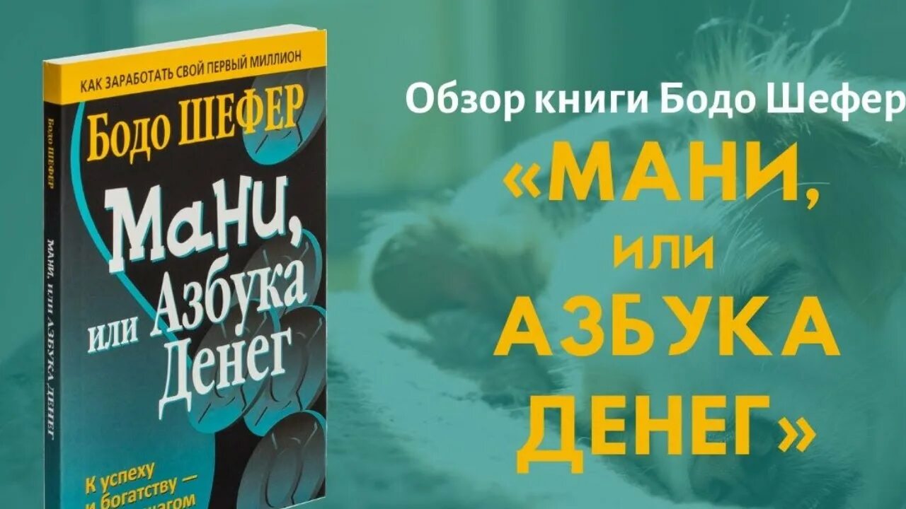 Книга азбука денег. Азбука мани Бодо Шефер. Мани, или Азбука денег. Бодо Шефер. Пес по имени мани, или Азбука денег. Азбука денег Шефер книга.