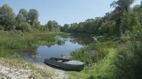 Погода новохоперск 14 дней воронежская область