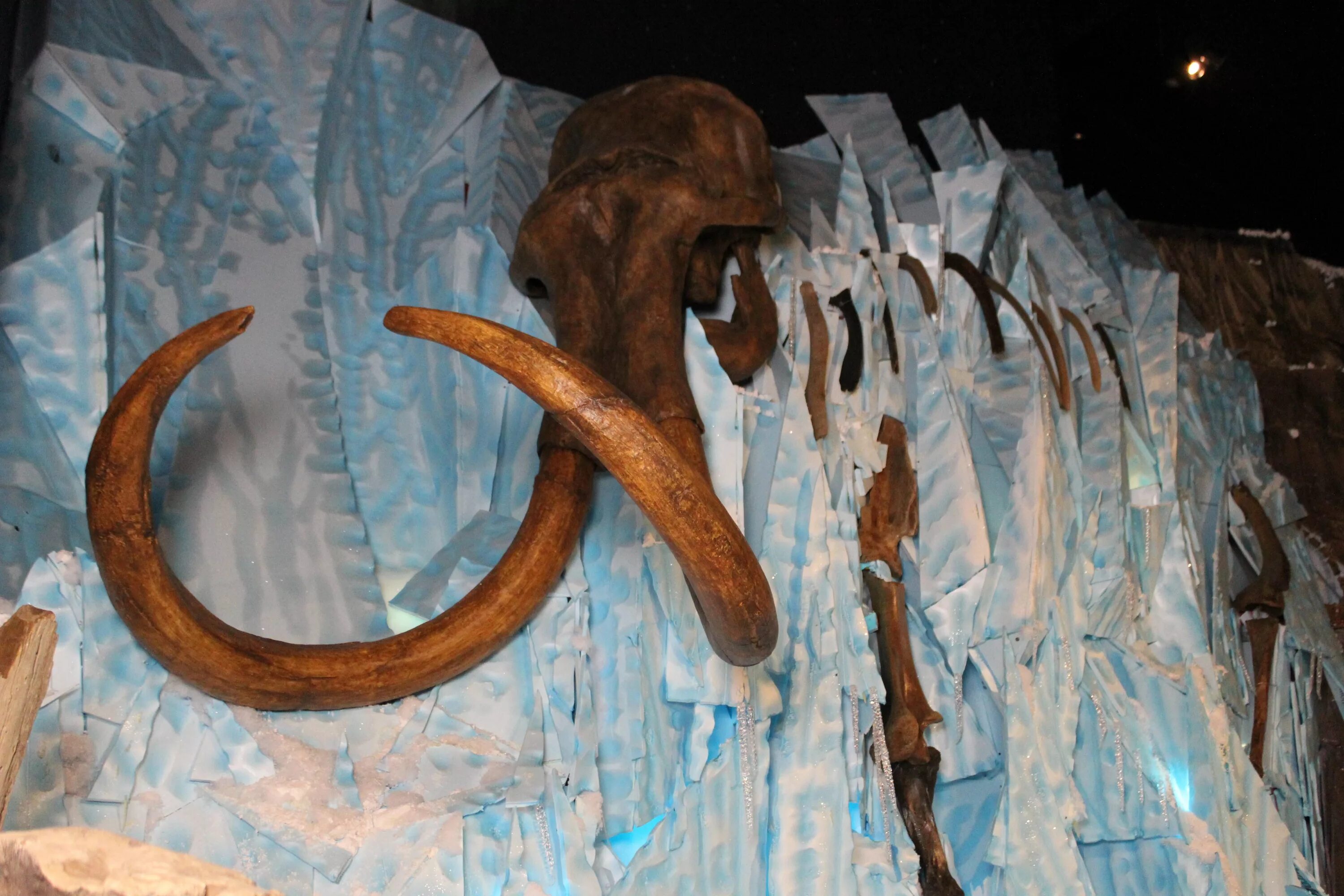 Заскамил мамонтиху. Бивни мамонта в вечной мерзлоте. Кости мамонтов в вечной мерзлоте. Сопкаргинский мамонт (мамонт женя). Существовали ли мамонты.