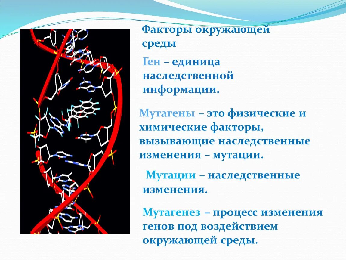 Фактор вызывающий наследственные изменения. Химические факторы мутаций. Биологические мутагены. Наследственные факторы мутагены факторы. Мутагены окружающей среды.