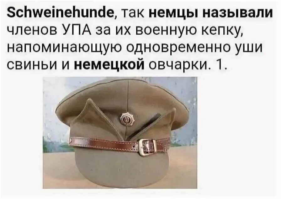 Свинособаками немцы. Свинособаки бандеровцы. Свинособака немцы назвали. Кепка мазепинка упа. Бандеровская фуражка.