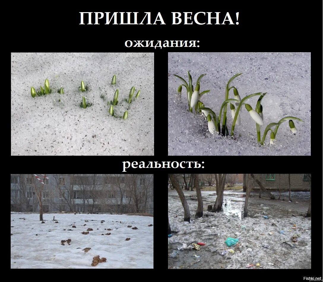 Школьные каникулы в марте. Через сколько дней весенний. Через сколько дней весенний. Скоро весна. Посадка луковичные растения схема.