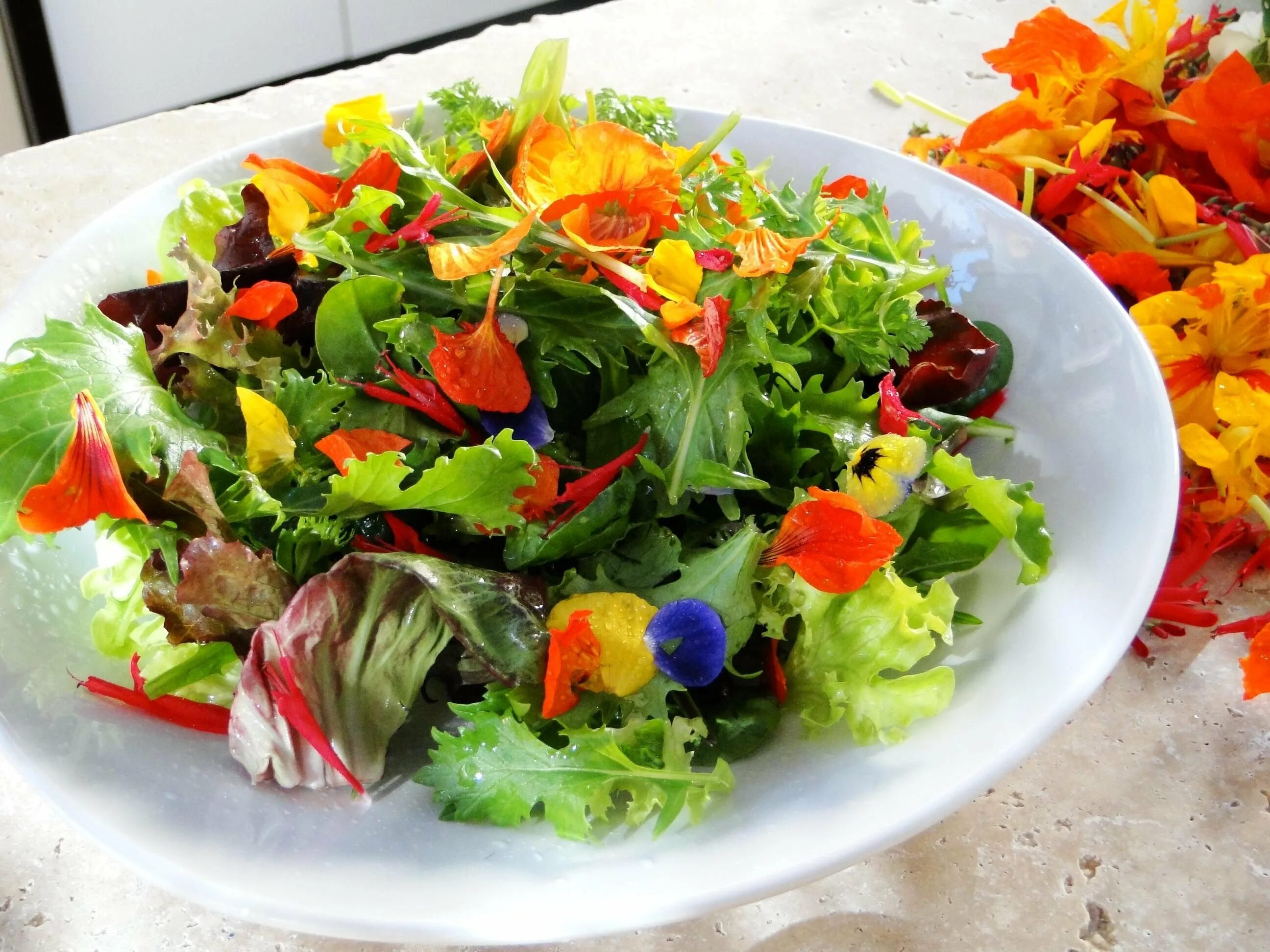 Блюдо из овощей салаты. Настурция микрозелень. Листья салата. Овощной салат. Салат цветочный.
