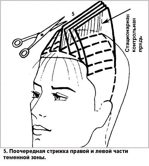 Стрижка техника выполнения стрижки. Схема стрижки Гаврош. Стрижка Гаврош технология. Гаврош технология и схема стрижки. Стрижка Гаврош технология выполнения.