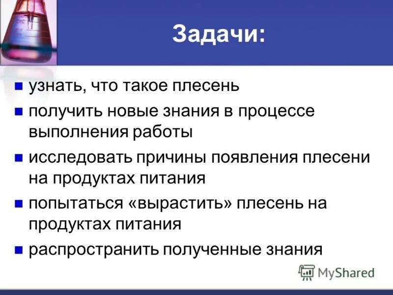 Белая плесень польза и вред. Плесень исследовательская работа. Актуальность проекта про плесень. Тема исследовательских работ плесень. Задачи проекта про плесень.