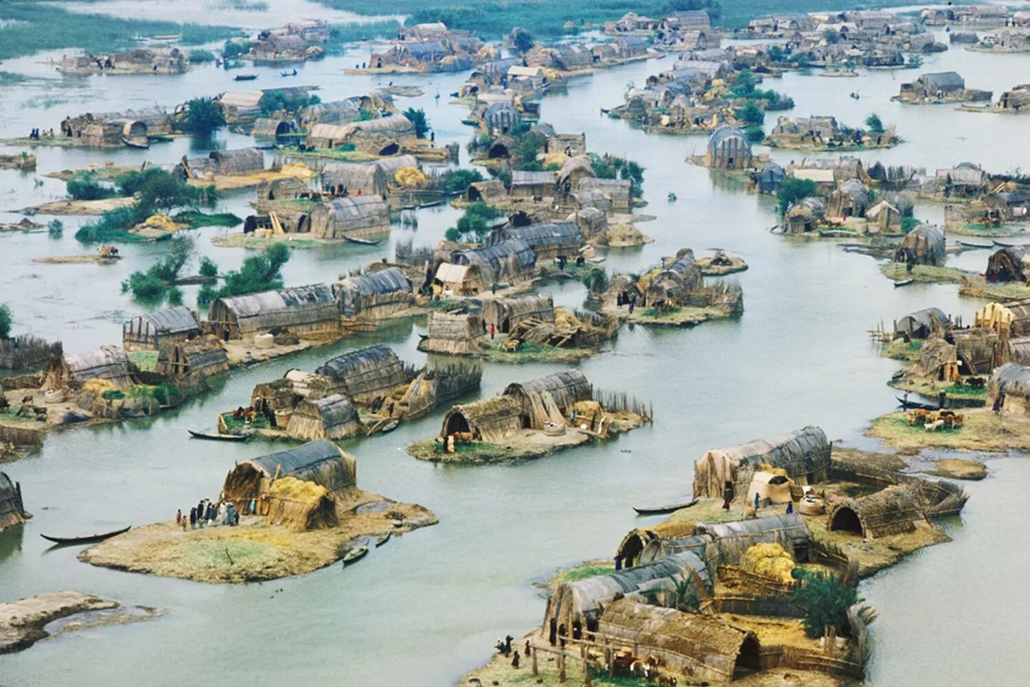 Река древнего двуречья. Месопотамские болота Ирак. Ирак тигр и Евфрат. Разлив тигра и Евфрата. Река Евфрат в древности.