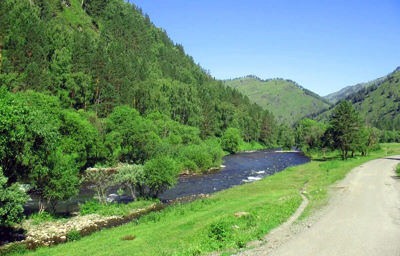 Река Бийка горный Алтай. Речка Куба горный Алтай. Кузлинская Поляна Чемал. Река Бийка Чемальский район.