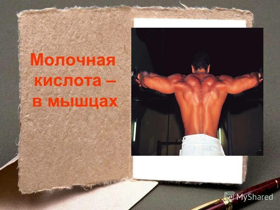 Как молочная кислота влияет на мышцы. Молочная кислота в мышцах. молочная кислота в мускулах. молочный кислота в мышцах. накопление молочной кислоты в мышцах.
