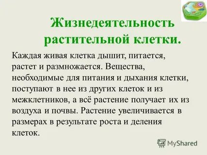 Продукты жизнедеятельности растений