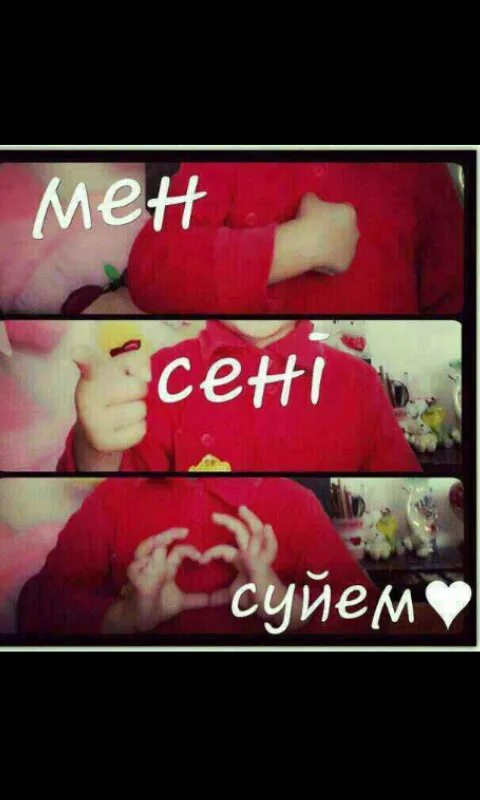 Сени суйем перевод текста. Сени суйем перевод текста