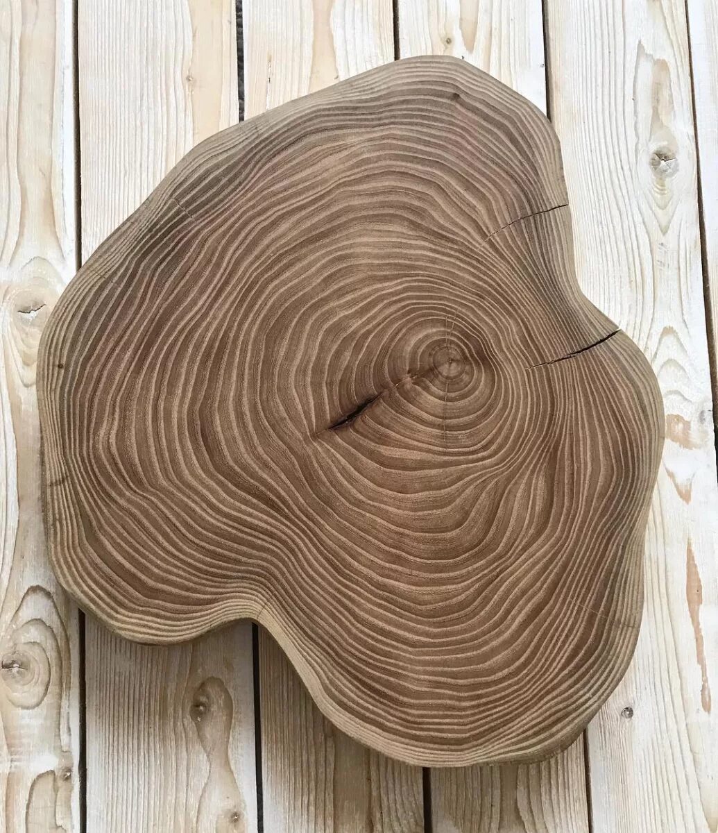 Деревянный спил подставка. Подставка спил. Подставка из спила дерева. Подставка из среза дерева. Дубовый спил.