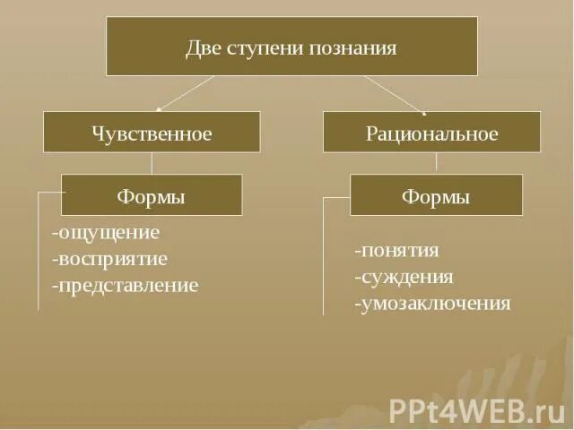 Ступени познания. Ощущение представление суждение восприятие форма познания. Две ступени познания чувственная и рациональная. Чувственное и рациональное познание. Ощущение восприятие представление суждение умозаключение.