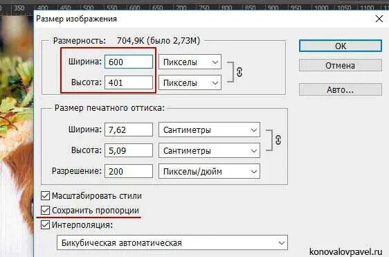 Фотошоп изменение размера изображения. Изменить размер картинки. снизить размер изображения. как уменьшить размер картинки в фотошопе. уменьшенное изображение.