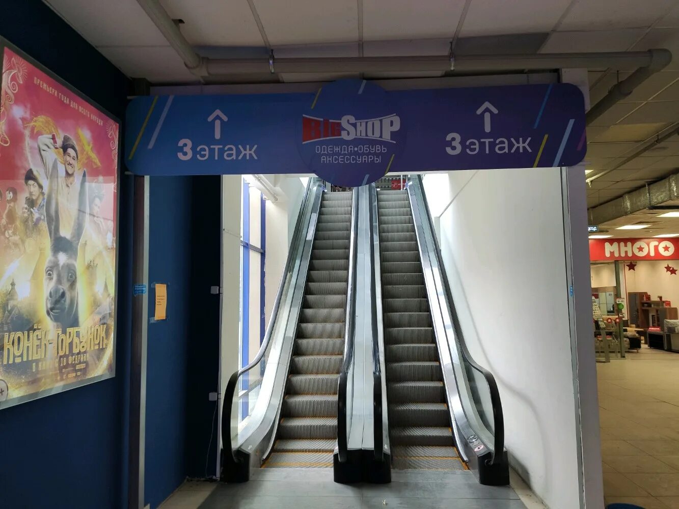 Bigshop коммунистический просп 30 западный фото