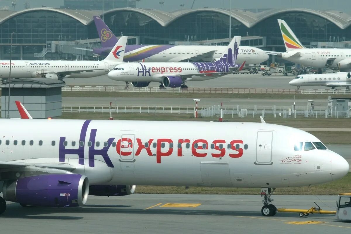 Стропа stratagem frog. Hong kong express music. Карабин самозахват frog. Hong kong express. Экспресс логотип.