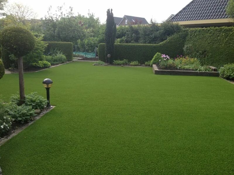 Английский газон трава. Английский сад с газоном. Партерный (английский) газон. Английский газон. Изумрудные газоны англии.