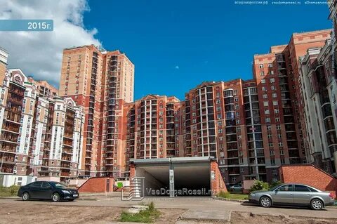 Баки урманче 8