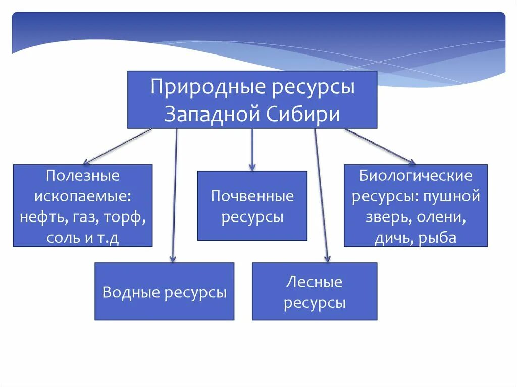 Ресурсы средней сибири. Западная Сибирь природные ресурсы Минеральные. Схема природные ресурсы Западно сибирской равнины. Природные ресурсы Западной Сибири равнины таблица. Природные ресурсы Западно сибирской равнины и условия их.