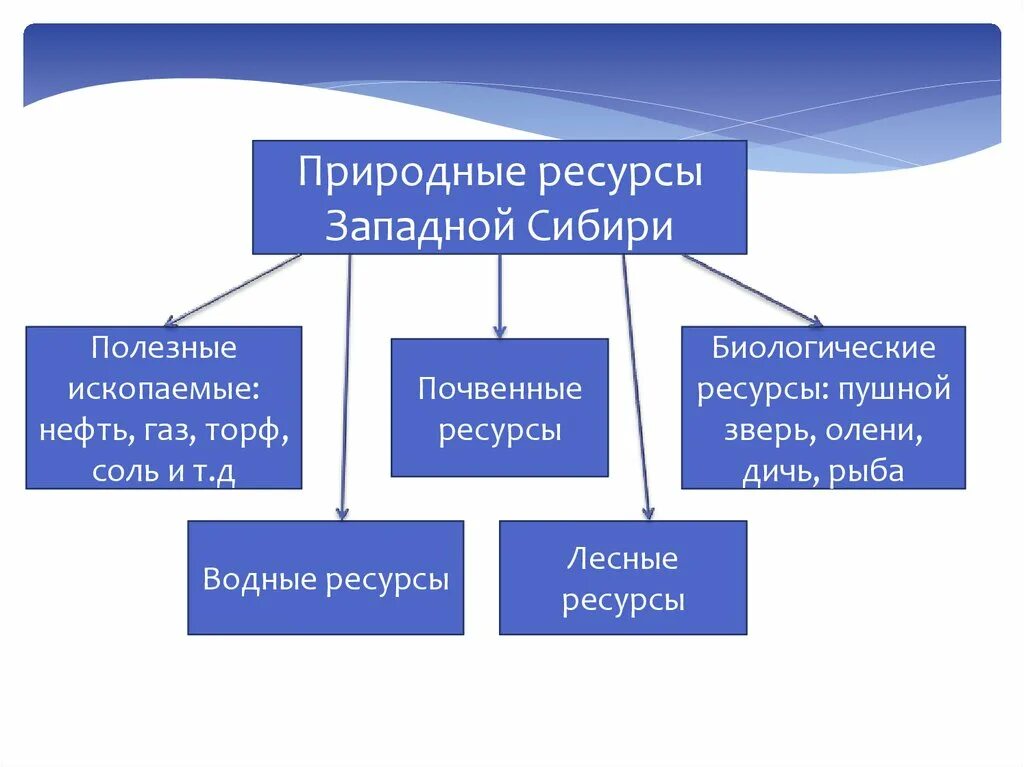 Какие природные ресурсы в западной сибири. Западная Сибирь природные ресурсы Минеральные. Схема природные ресурсы Западно сибирской равнины. Природные ресурсы Западной Сибири равнины таблица. Природные ресурсы Западно сибирской равнины и условия их.