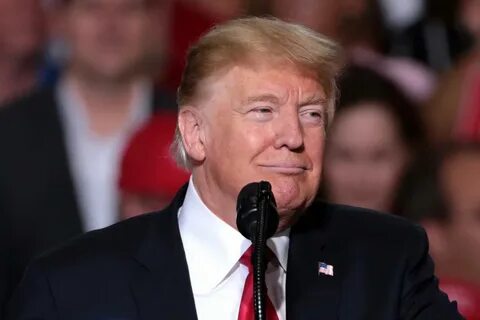 Сколько процентов у трампа на выборах