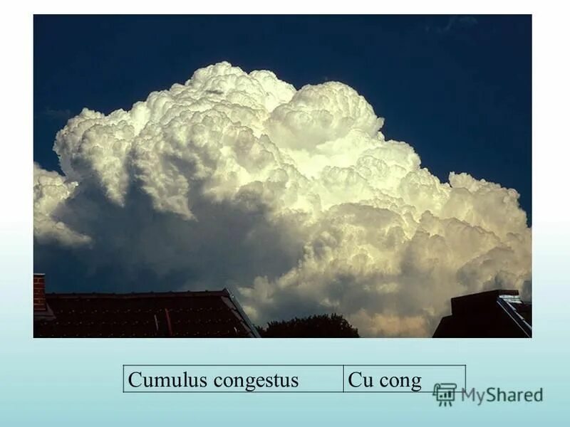 Высота облаков погода. Cumulus congestus облака. Cu cong облака. Облака Fractus. Разорванно дождевые облака.