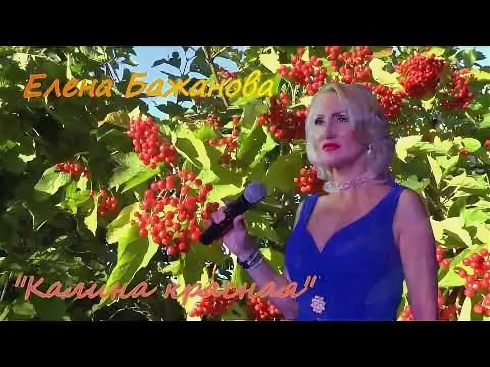 Гармонист на улице болотова. Вика цыганова. Песня калина красная в исполнении цыганова. Песня калина красная в исполнении цыганова. Калина красная слова цыганова.